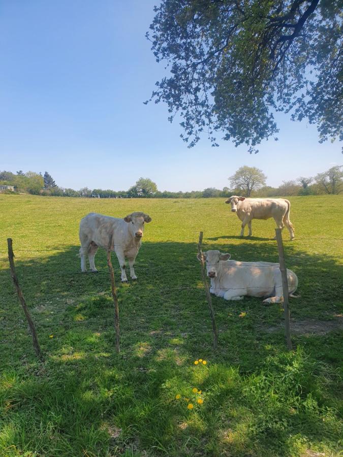 Villa Fleur De Lys Au Puy Du Fou - Stayinvendee La Gaubretiere Dış mekan fotoğraf